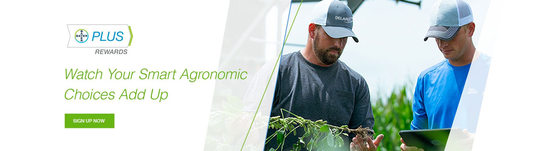 Bayer PLUS Programs Overview Crop Science US Bayer PLUS Rewards