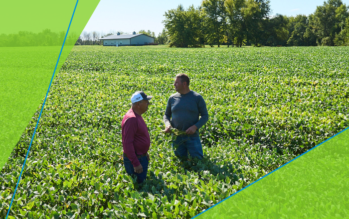 Two Farmers in a Field