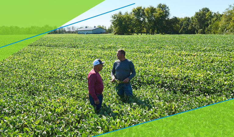 Two Farmers in a Field
